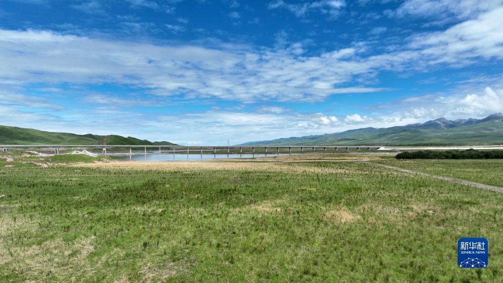 森林用什么游戏平台